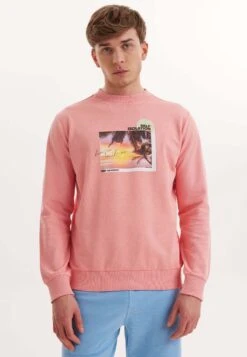 Wmcollage Fun Sweat - Sweater - Desert Flowers