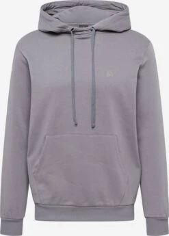 Hoodies Sweatshirt Heren Stone Grey