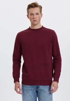 Plant- Sweater - Cabernet