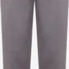 Sweatpants Regular Broek Heren Basaltgrijs